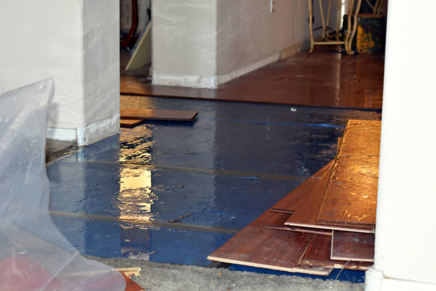 Professional Sewage Cleanup technician working in Brumley, MO